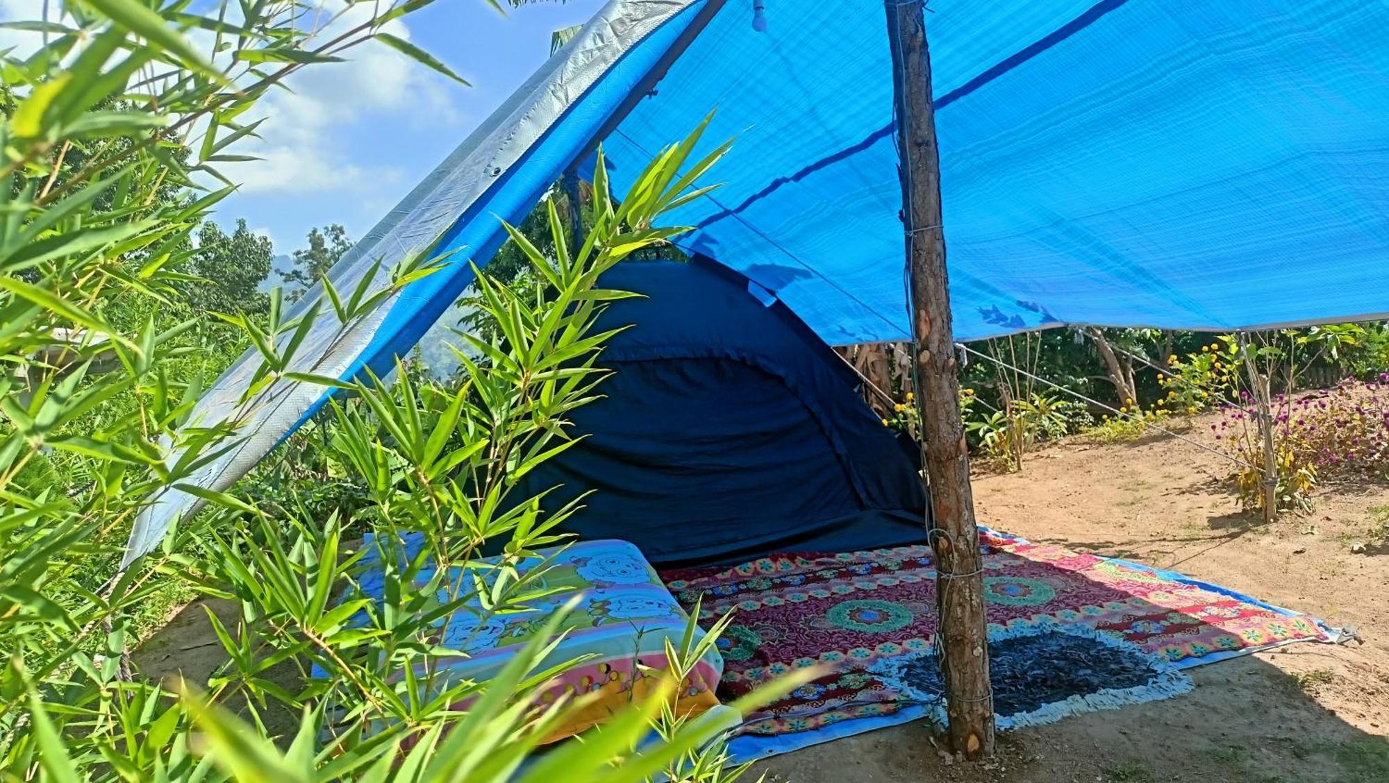 فندق Freedom Camp إيلا المظهر الخارجي الصورة